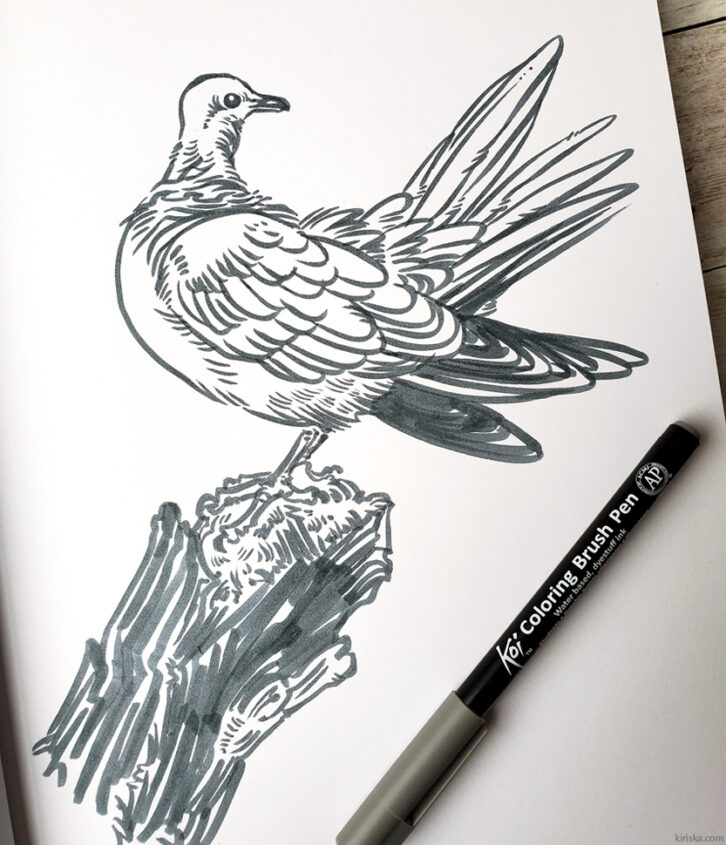 A dove drawing with Sakura Koi Coloring Brush