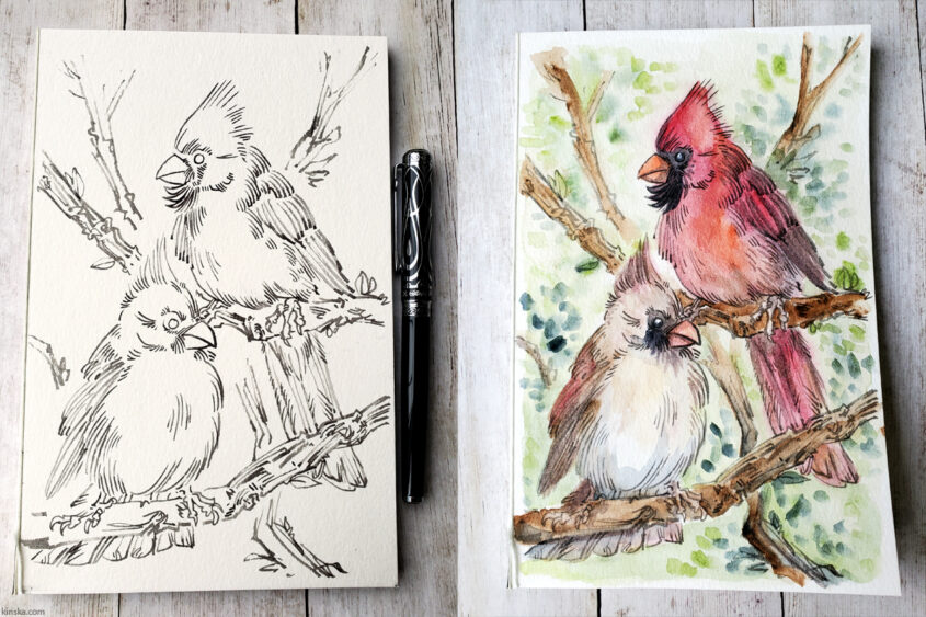 Cardinals with Duke Ruby fude nib, then colored with watercolor